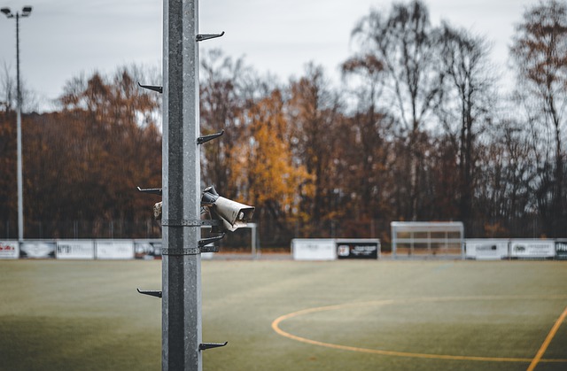 是他们在欧 是他们在欧