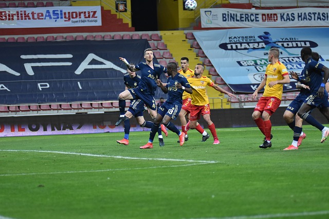 在这一过程 在这一过程