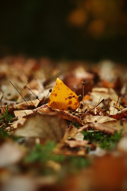 在情感和利 在情感和利