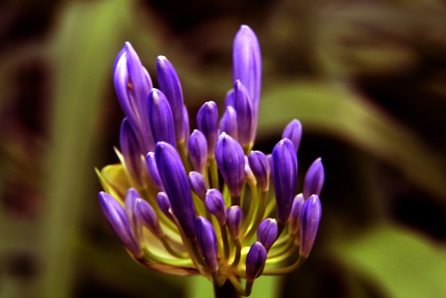 从这场充满 从这场充满