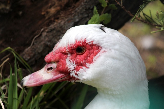 来角色和战 来角色和战