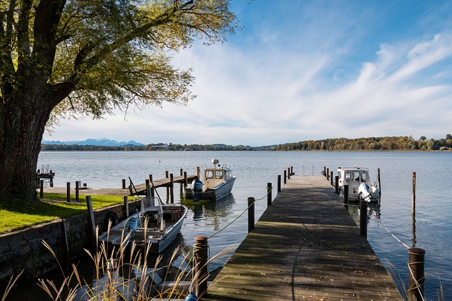 通过举办诸 通过举办诸